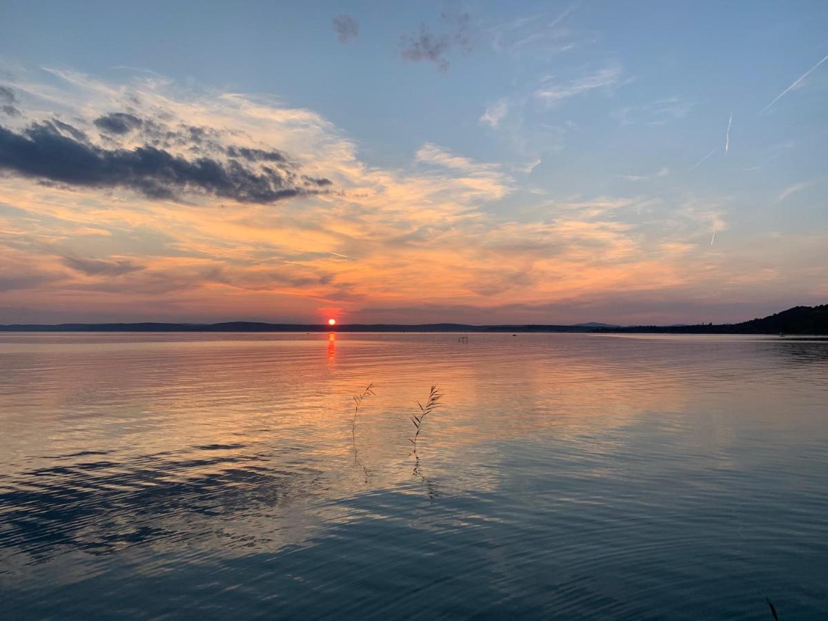 Green Lake House - Private Beach At Balaton วาลาโตนาคารัทยา ภายนอก รูปภาพ